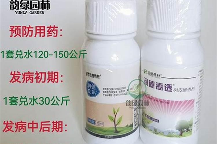 杨树腐烂病用什么药