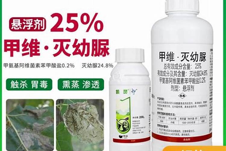 杨树腐烂病防治措施