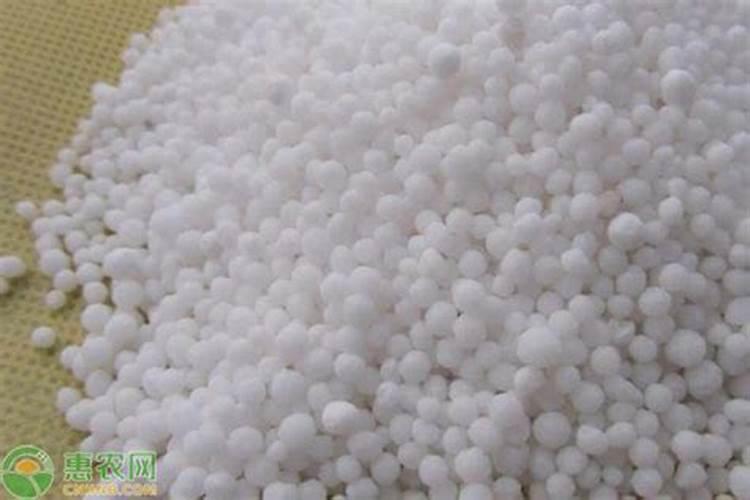 蓝色雪花用什么肥料怎么施？