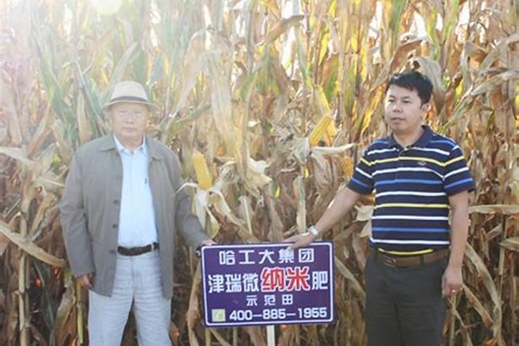 住商肥料玉米专用肥价格多少