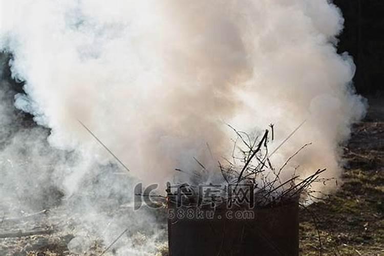 发财树烂根我用甲硝锉代替高锰酸钾可以吗？