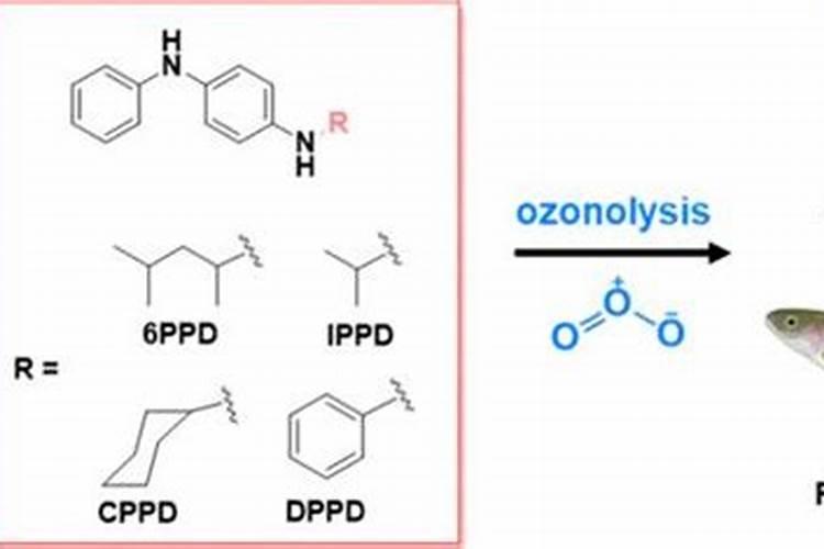 小花农向日葵如向养