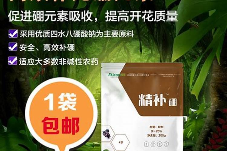 柠檬树补什么肥料最好