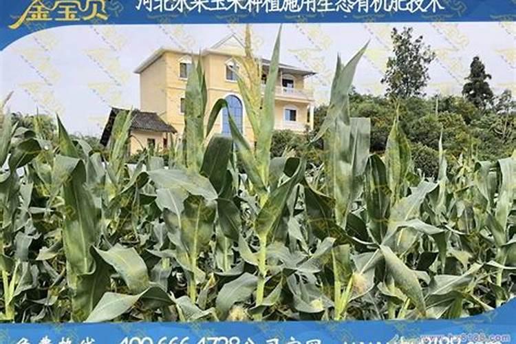 花肥怎么会出现蓝色的东西