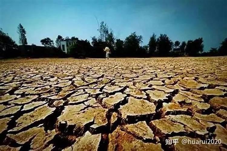 氮肥深施有什么好处？