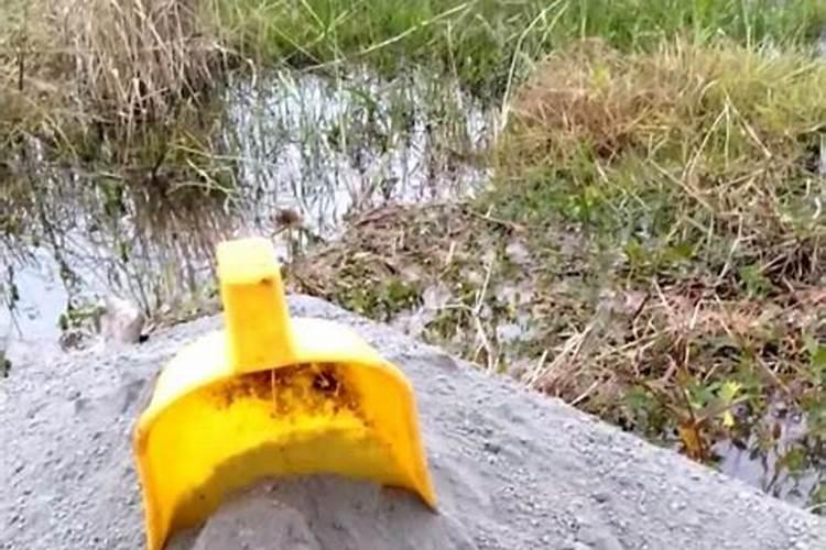 叶面肥可以浇花吗