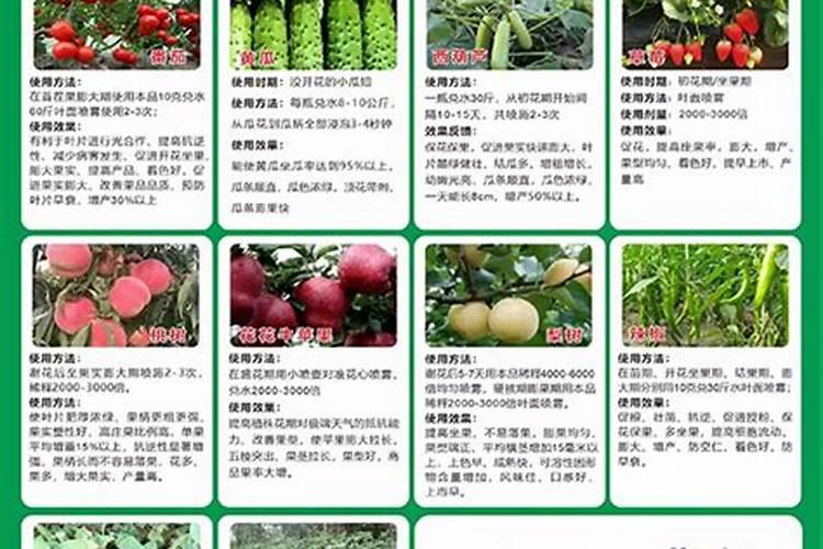 “膨果期”千万别忽略这些元素