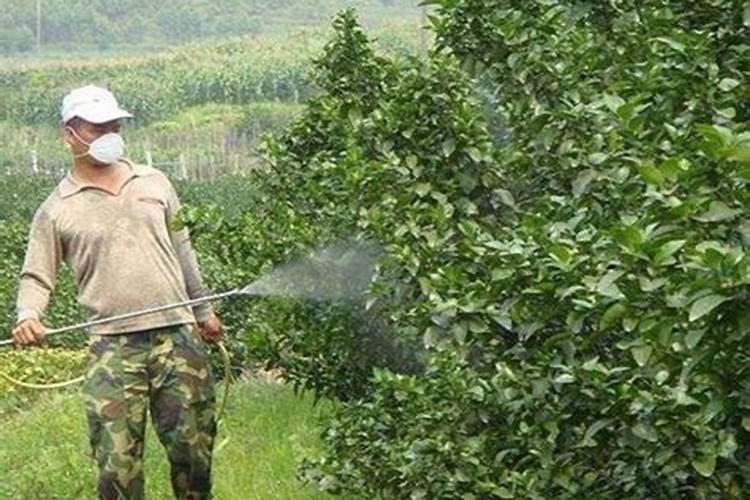 用磷酸二氢钾兑水比例