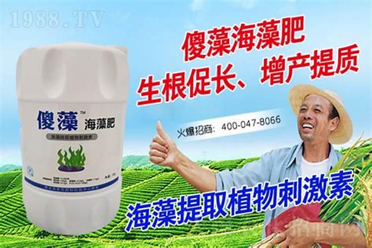 海藻肥哪个品牌的好