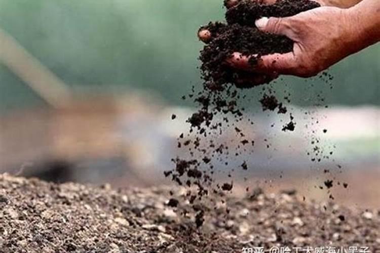 人的粪便可以做肥料吗