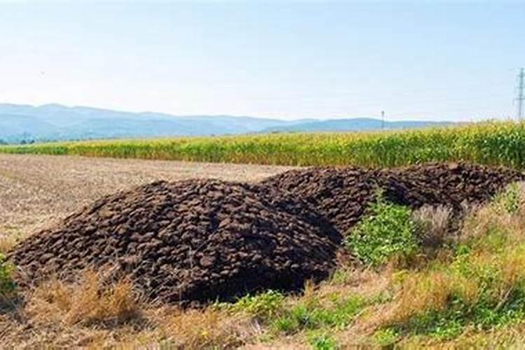 人的排泄物能做肥料吗？