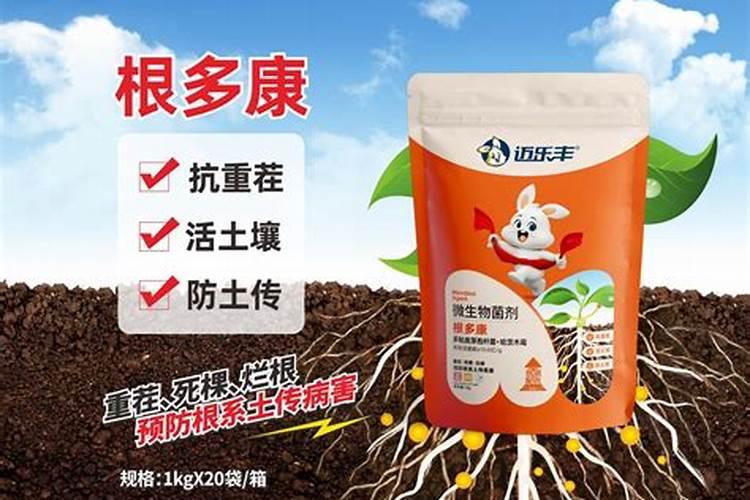 氯化胆碱的用量鸡饲料 鸡饲料添加剂有哪些