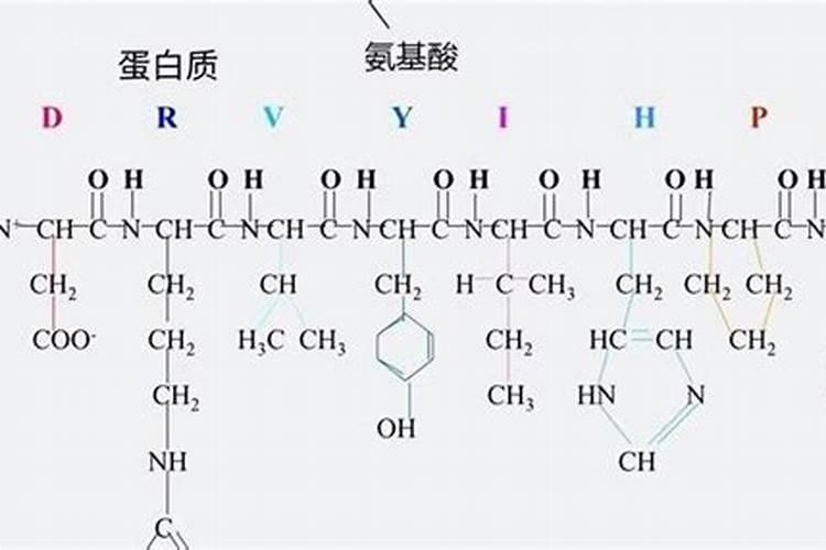 种植阳光玫瑰葡萄时,需要施什么肥呢？