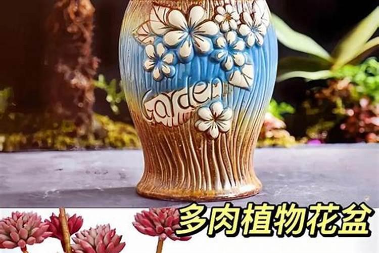 家庭养花用什么肥料好