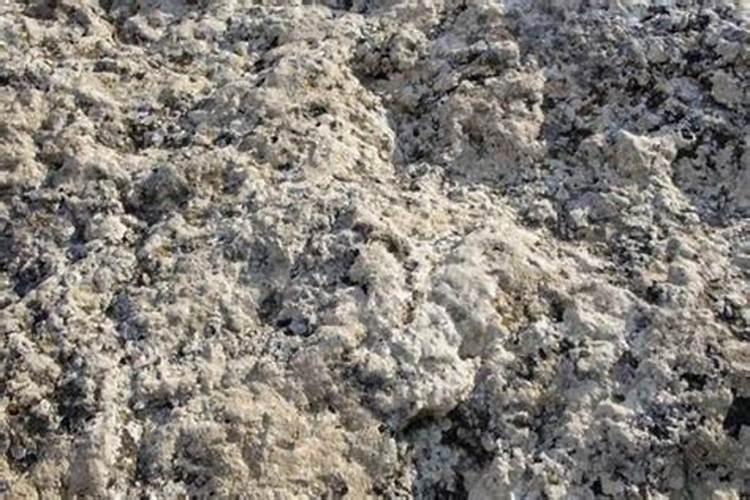 木头烧成的灰能洒在土里种菜吗