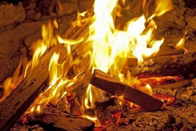 烧过的木灰和煤灰,倒在土里可以种菜吗？