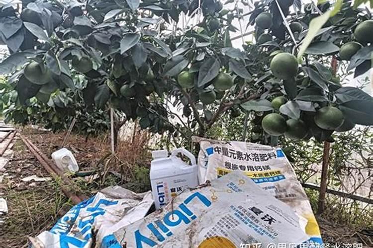 果树补钙用什么钙肥好 什么时候使用效果好