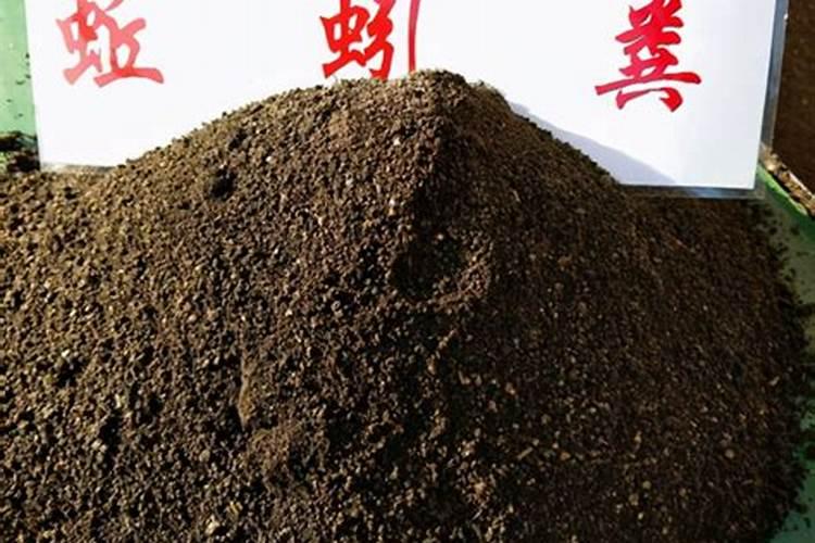 蚯蚓粪怎么养花