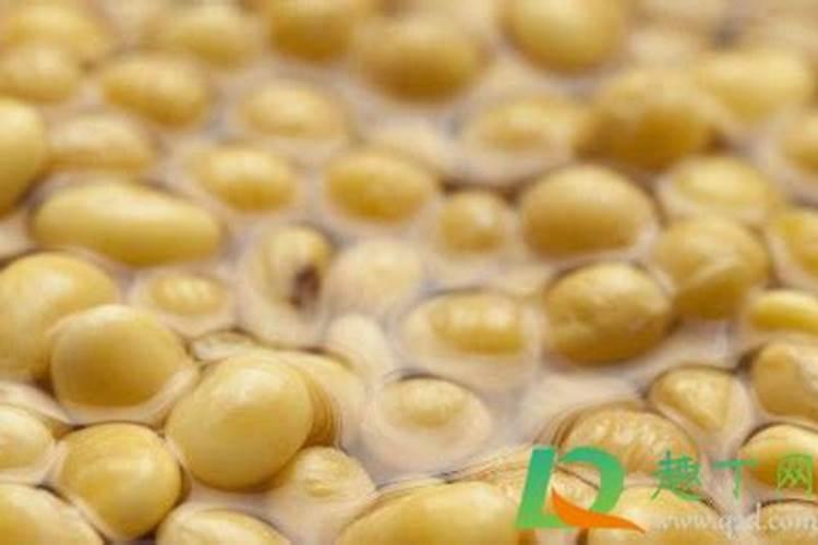 黄豆水是氮肥还是磷肥