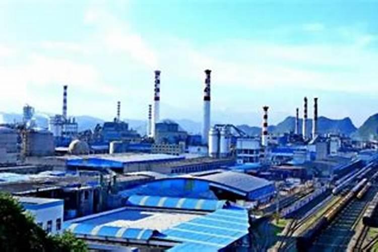 五指山仙人掌怎么养长的好