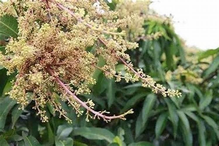 一升水是几瓶矿泉水