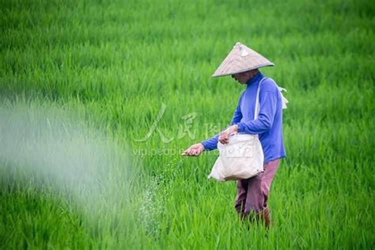 植物肥原菌种肥如何使用的？