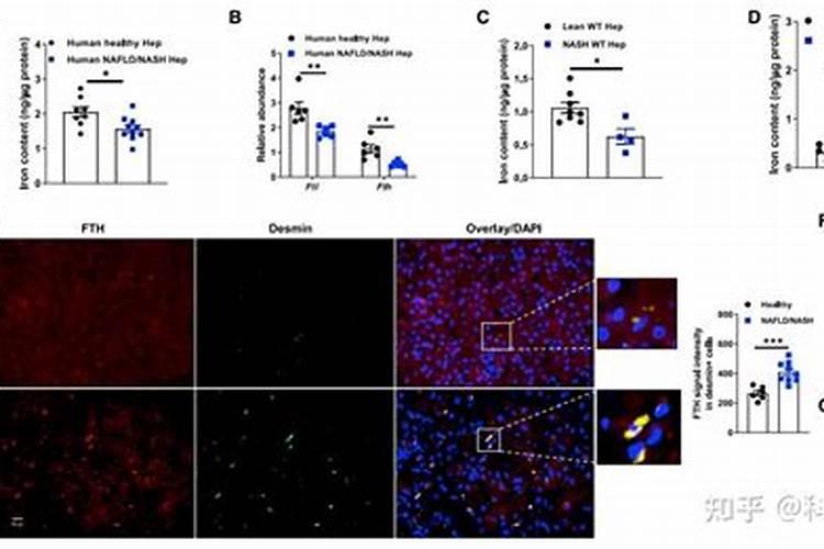 微量元素怎么检查