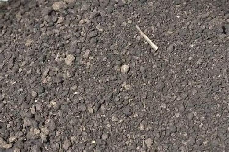 种苹果树需要每年都用硼和锌吗？