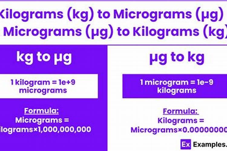 什么植物能吸灰尘