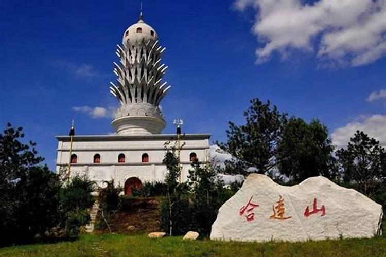 磷酸二氢钾怎么用草莓