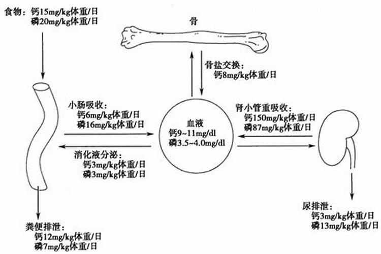 有没有大樱桃授粉药