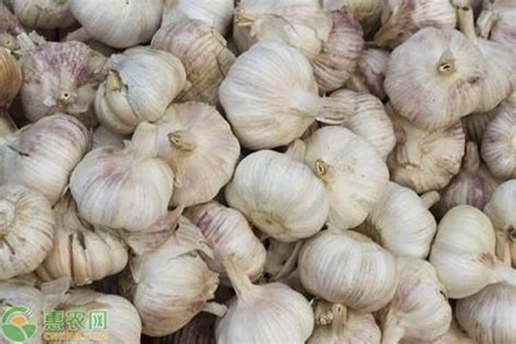 大蒜叶面肥喷什么肥最好