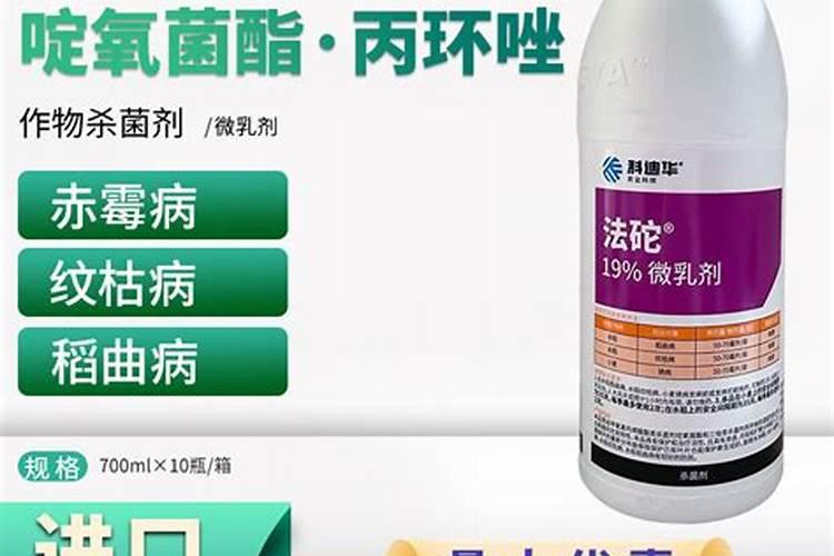 请问芹菜白菜是什么病,