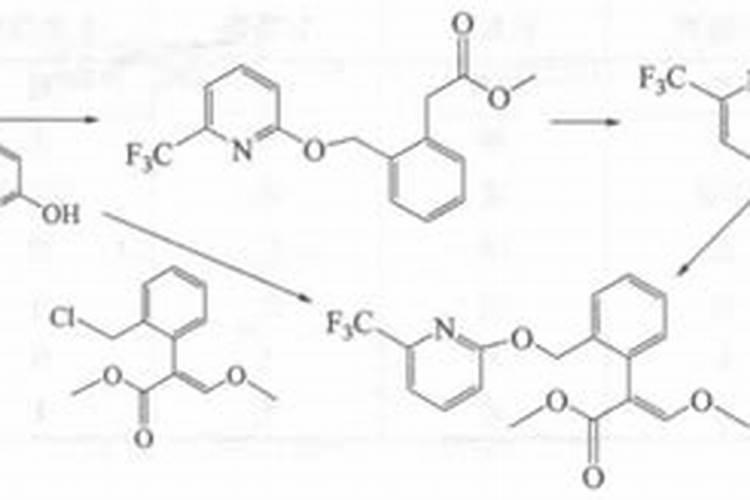 砂糖橘黄的地方有好多点点的水泡