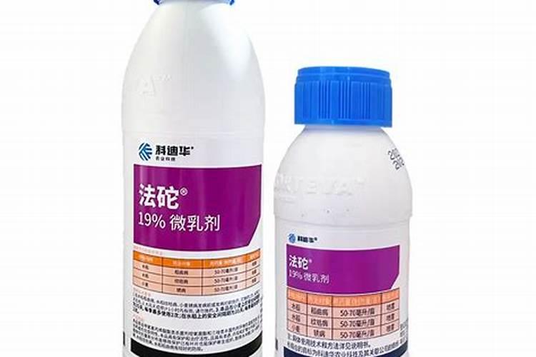 请问图片中的辣椒干尖是什么病