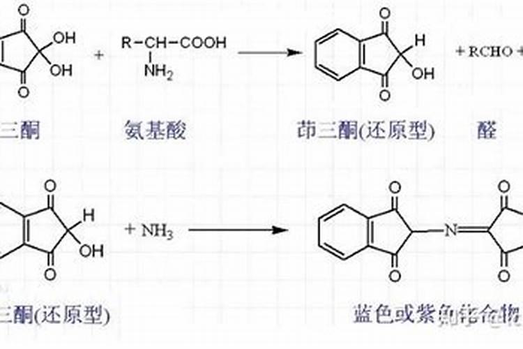 氨基酸水溶肥最佳搭档