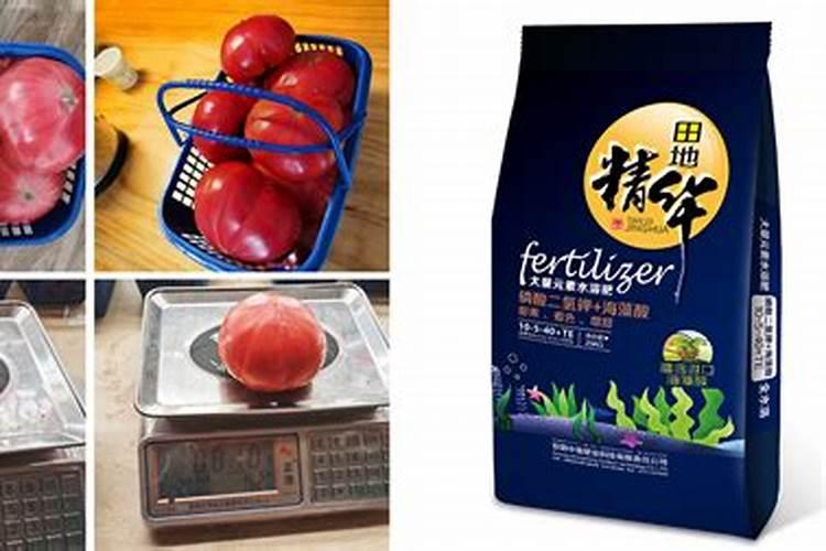 西红柿施用什么水溶肥料好？