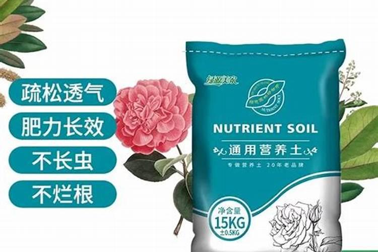 水稻施肥用量多少合适