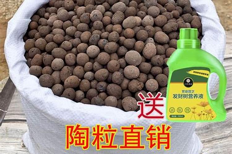 小麦化肥含氮磷钾的量多少最合适