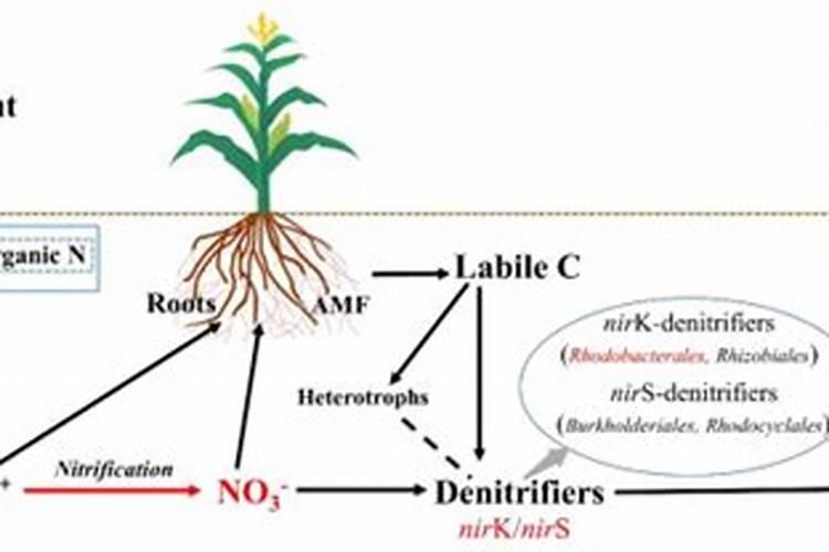氧化亚氮排放标准