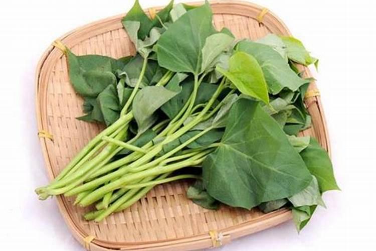 种地瓜用什么肥料最好