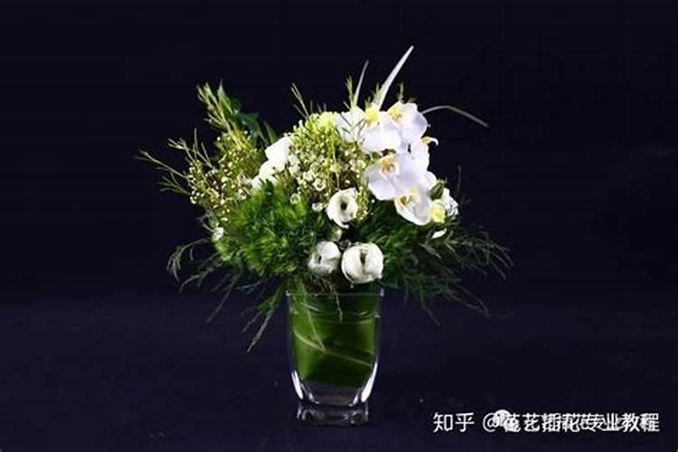 啤酒兑水可以浇花吗