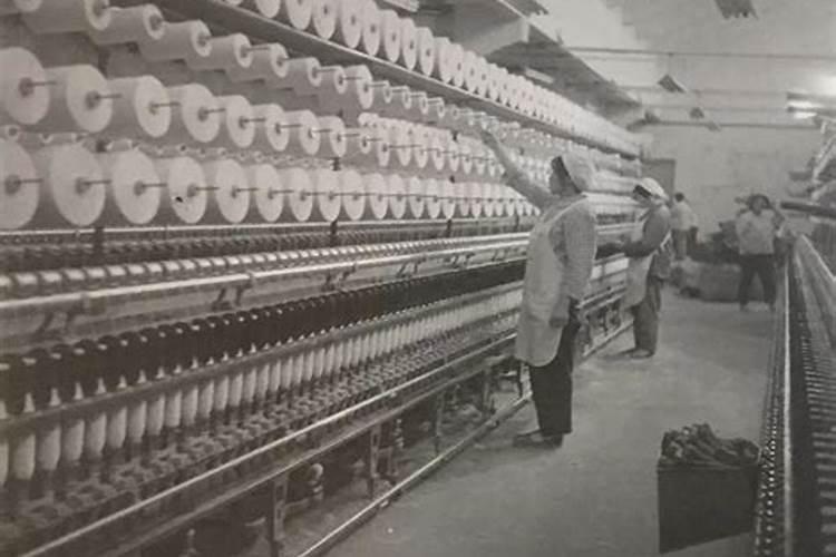 棉花杆每亩产量