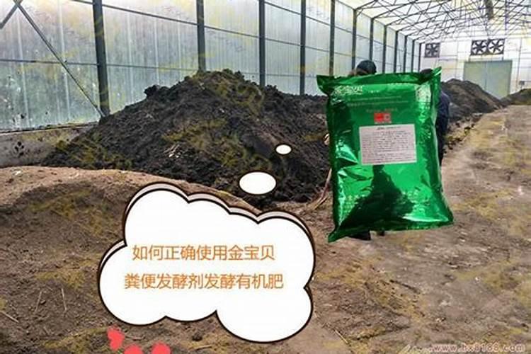 厨余垃圾水溶肥的制作与使用