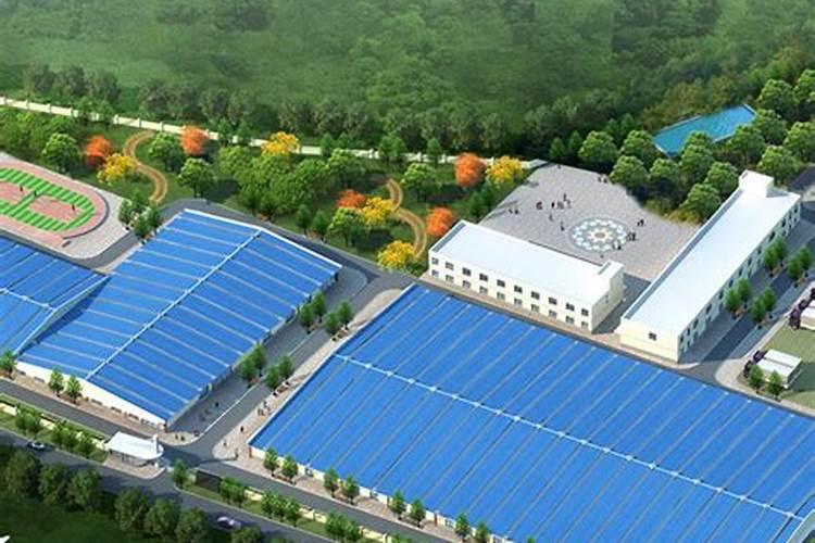 如何辩解真假叶面肥？