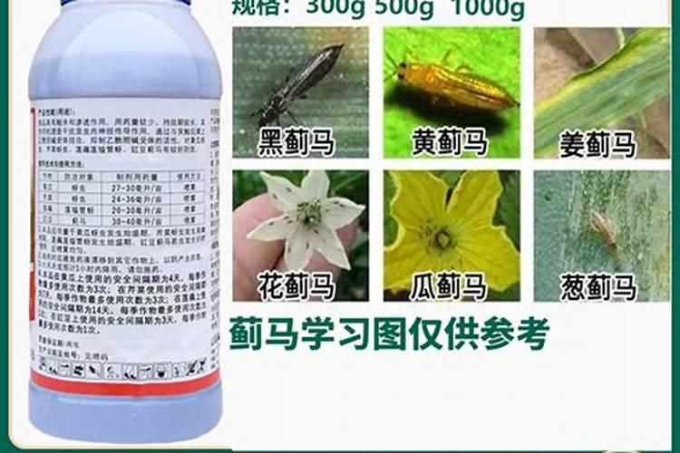 豆角蓟马害虫,用什药好？可否混合叶面肥或抑菌剂时喷施？谢