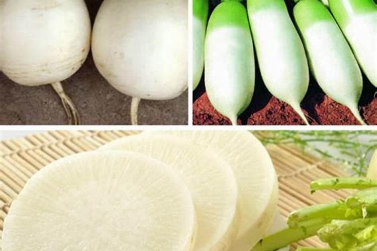 怎么预防大白萝卜发黑空心