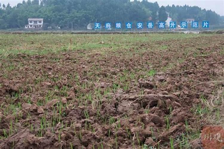 分解土壤肥力的方法