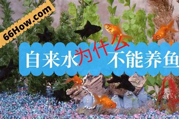 黄腐酸钾可以和鱼蛋白混冲施吗