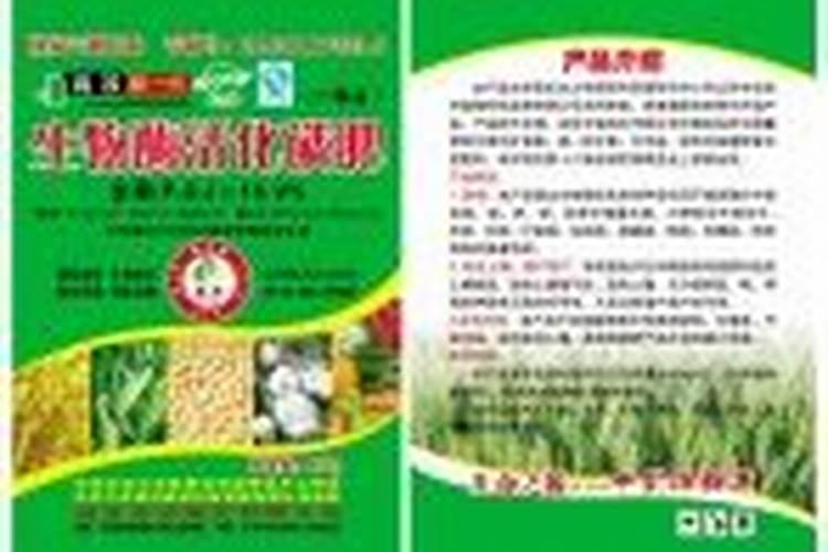 芹菜什么季节成熟上市